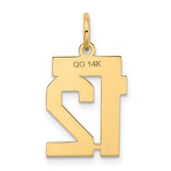 14K Gold Satin Number 12 Charm with Brushed Finish  Small & Elegant