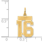 14K Yellow Gold Satin Number 16 Charm with Brushed Finish