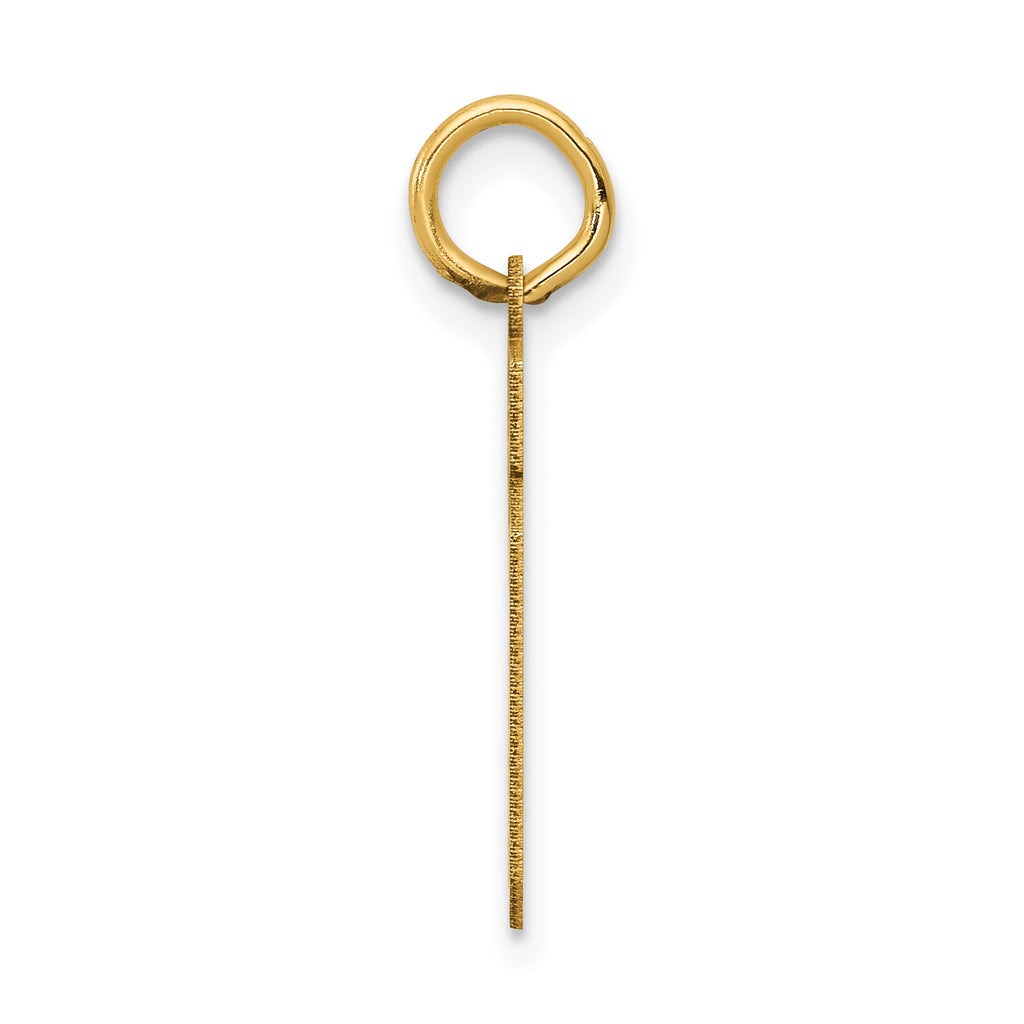 14K Gold Satin Number 19 Charm with Brushed Finish Small
