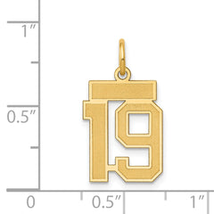 14K Gold Satin Number 19 Charm with Brushed Finish Small