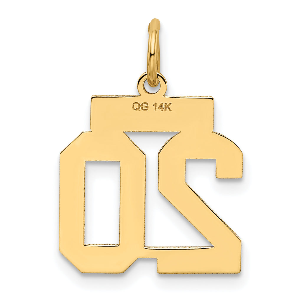 14K Gold Satin Number 20 Charm with Brushed Finish Small Elegant Design