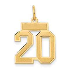 14k Small Satin Number 20 Charm