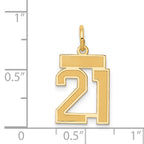 14K Gold Small Satin Number 21 Charm with Brushed Finish