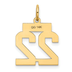 14K Gold Small Satin Number 22 Charm with Brushed Finish