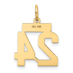 14K Gold Small Satin Number 24 Charm with Brushed Finish