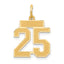 14k Small Satin Number 25 Charm