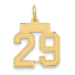 14k Small Satin Number 29 Charm