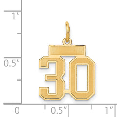 14K Gold Small Satin Number 30 Charm with Brushed Finish