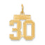 14k Small Satin Number 30 Charm
