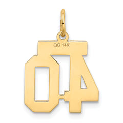 14K Gold Small Satin Number 40 Charm with Brushed Finish
