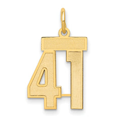 14k Small Satin Number 41 Charm