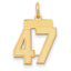 14k Small Satin Number 47 Charm