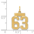 14K Gold Small Satin Number 63 Charm Brushed Finish