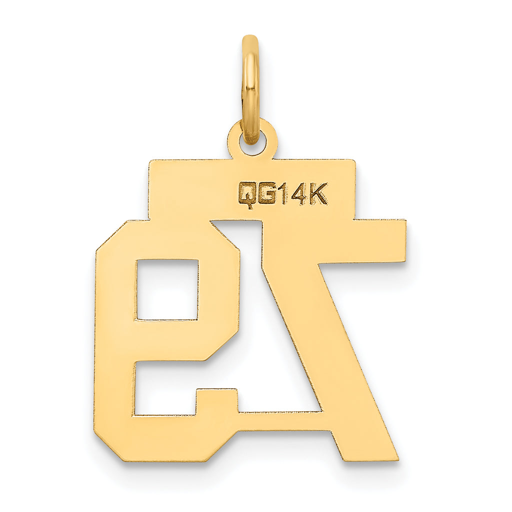 14K Yellow Gold Satin Number 79 Charm with Brushed Finish