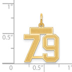 14K Yellow Gold Satin Number 79 Charm with Brushed Finish
