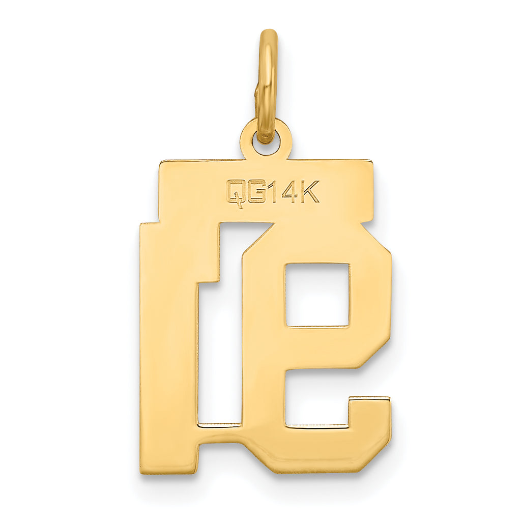 14K Gold Satin Number 91 Charm with Brushed Finish Small Elegance