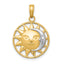 14k and Rhodium Sun and Moon Charm