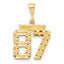 14k Medium Diamond-cut Number 58 Charm