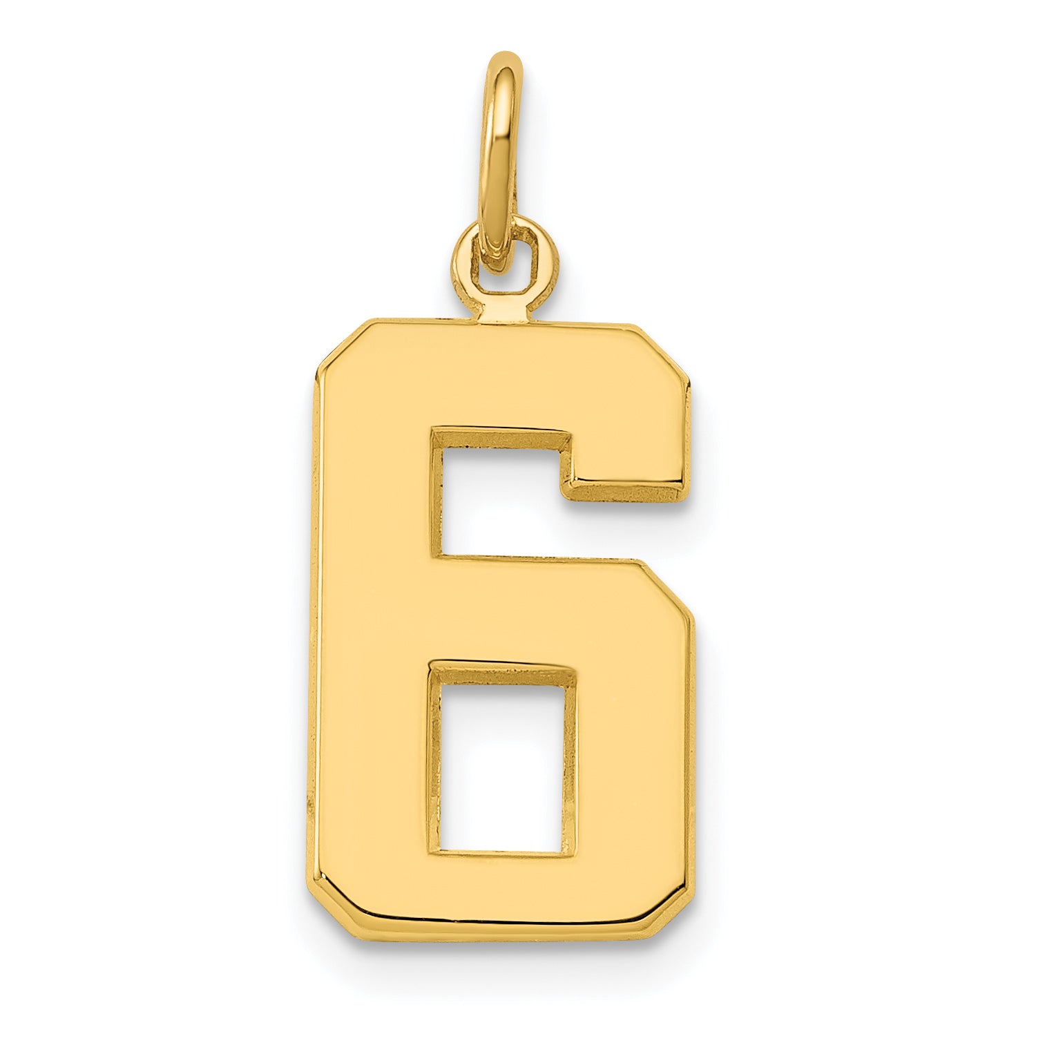 14k Medium Polished Number 6 Charm Main image