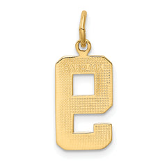 14K Gold Number 9 Charm with Polished Finish  Medium Size