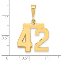 14K Gold Number 42 Charm with Polished Finish  Medium Themed Style