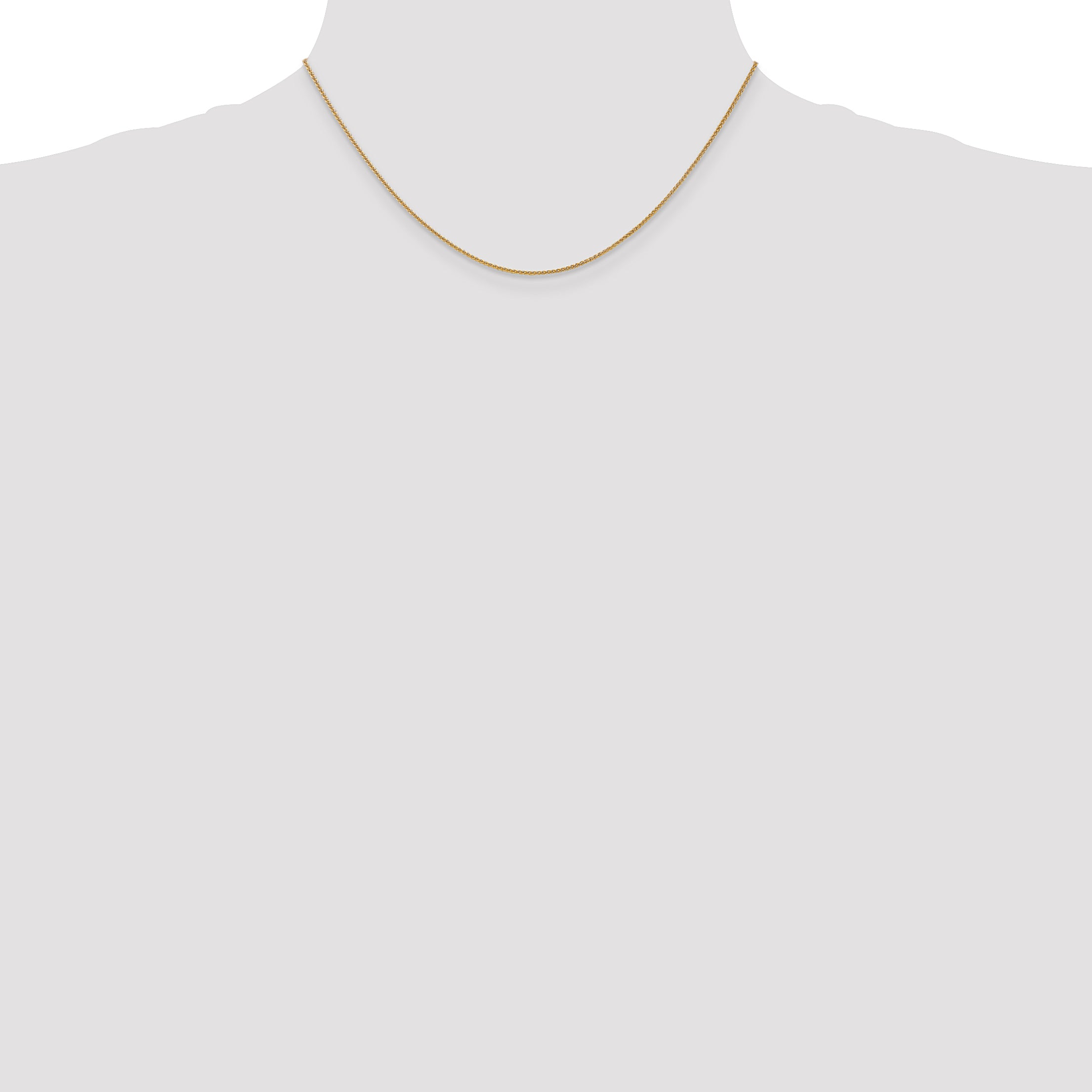 14K Gold Women's Polished Spiga Chain Necklace with Lobster Clasp