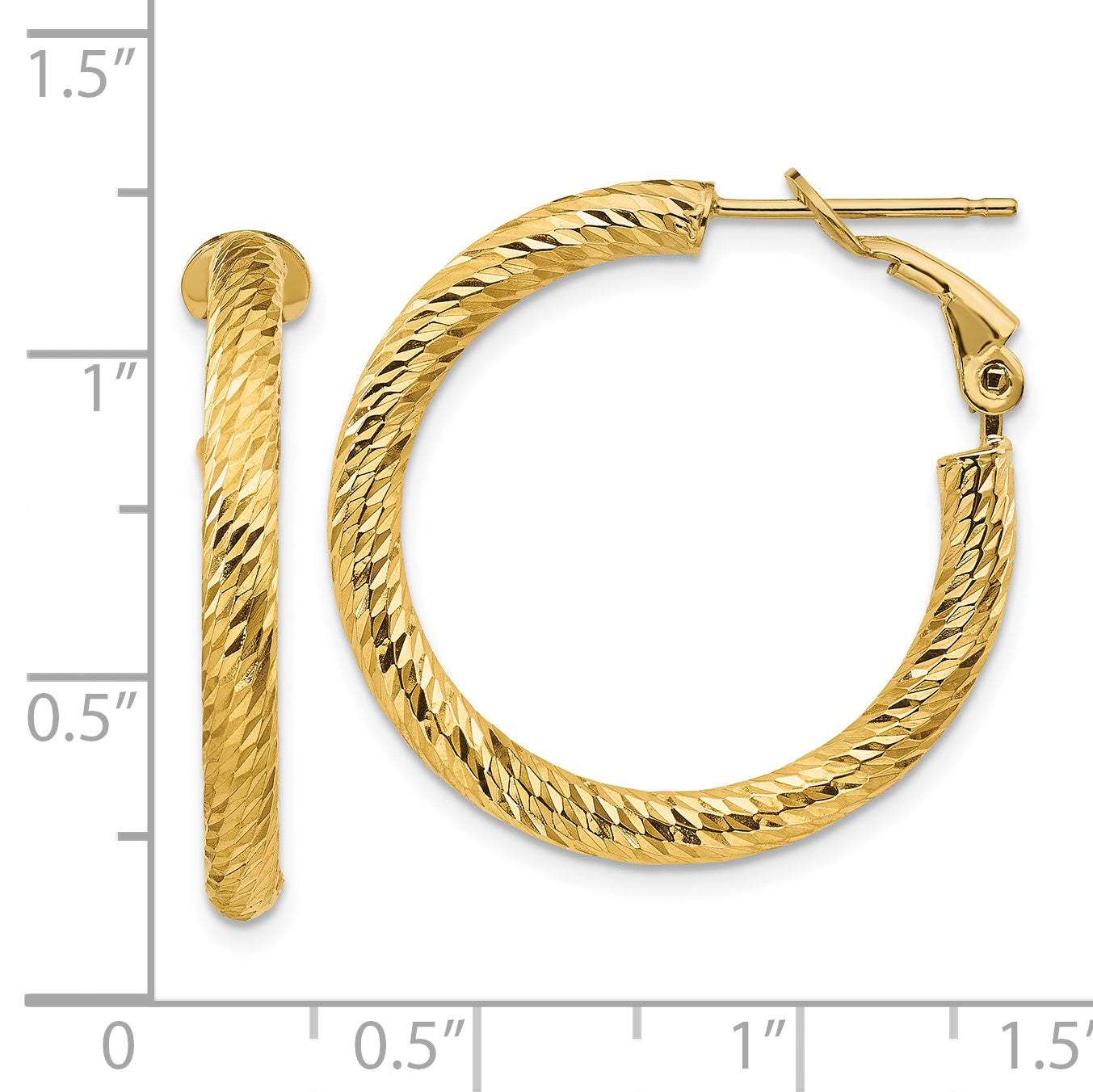 14K Gold Diamond-Cut Hoop Earrings with Omega Back  Polished & Elegant