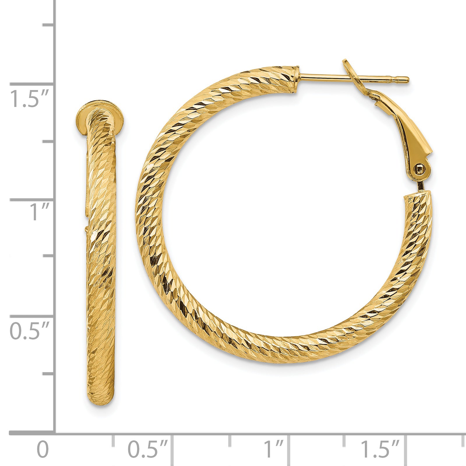 14K Gold Diamond-Cut Round Hoop Earrings with Omega Back Closure