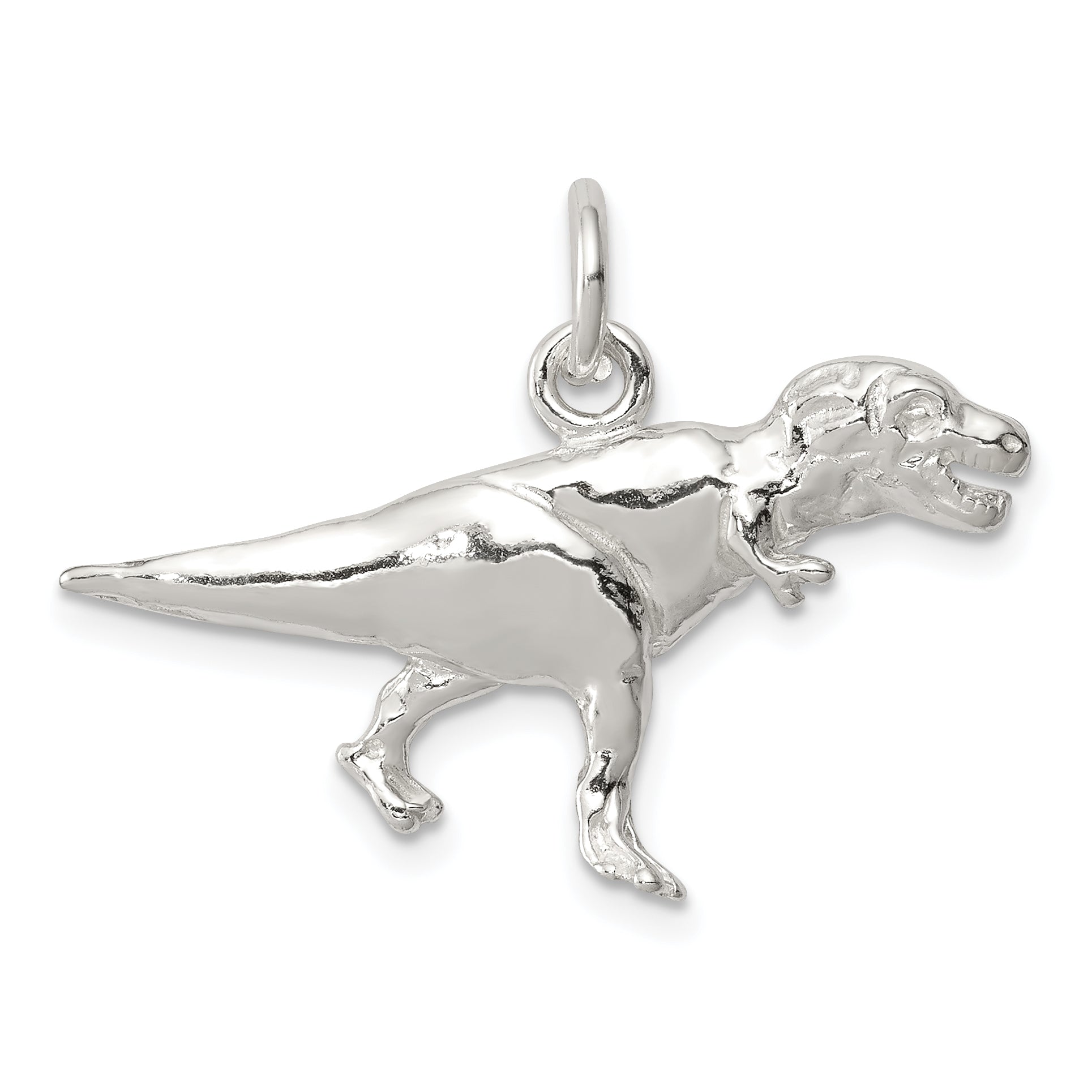 Sterling Silver T-Rex Charm Main image