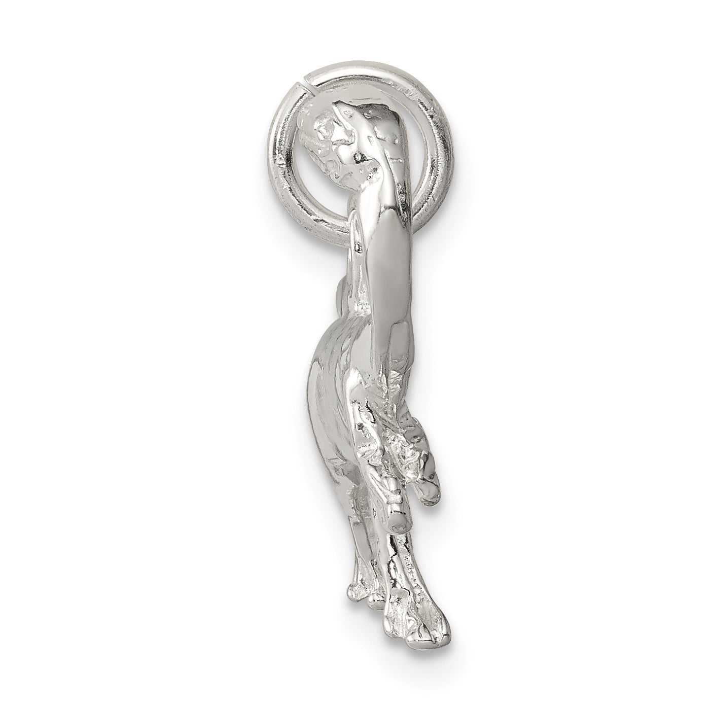 Sterling Silver Raptor Charm Secondary image