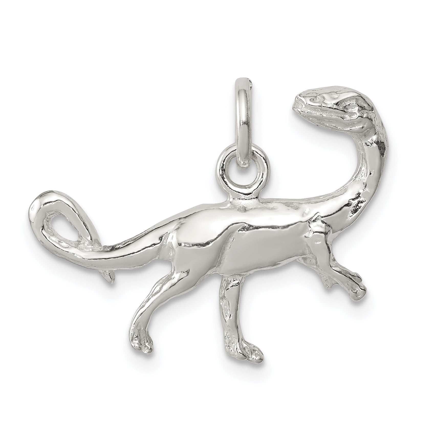 Sterling Silver Raptor Charm Main image