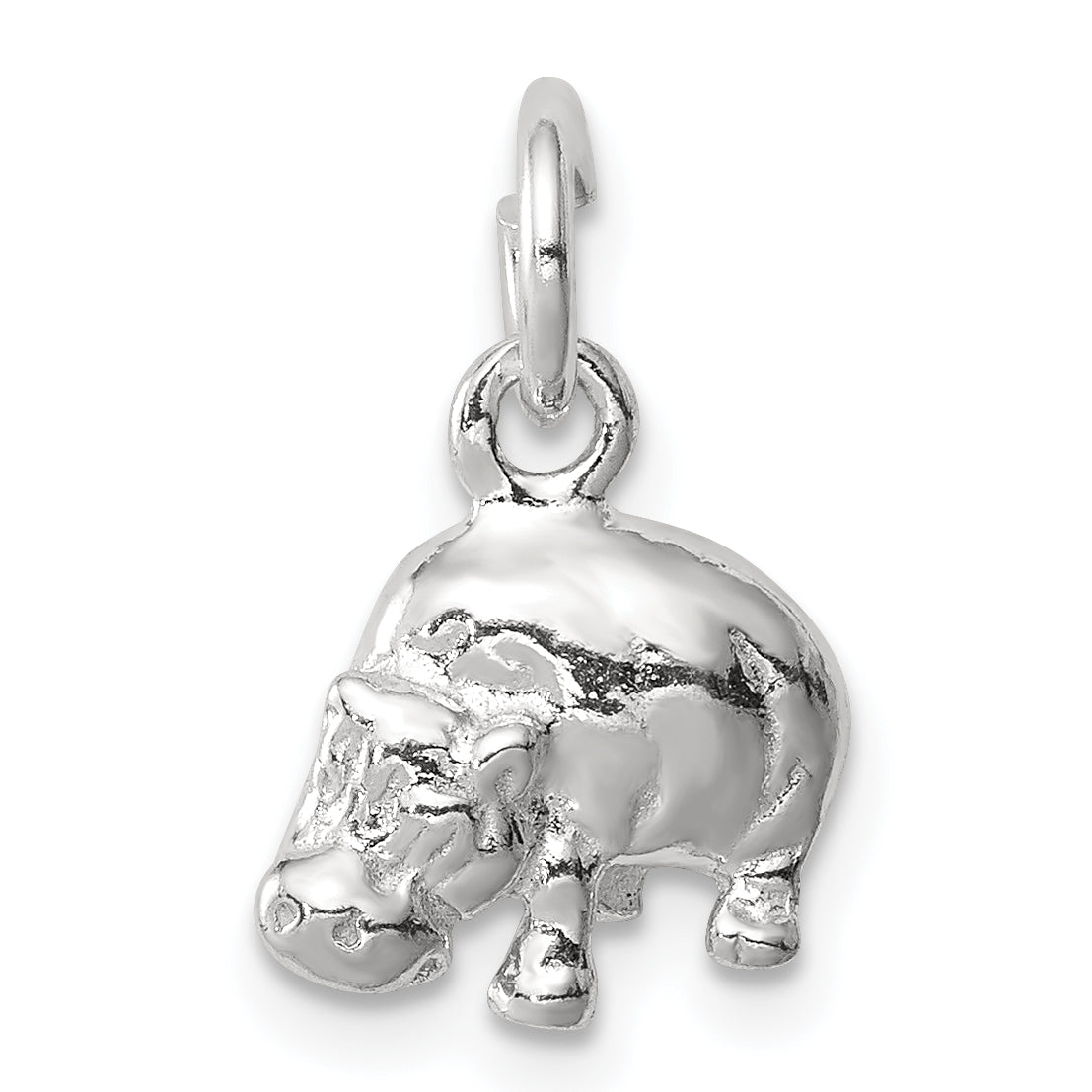 Sterling Silver Hippo Charm Main image