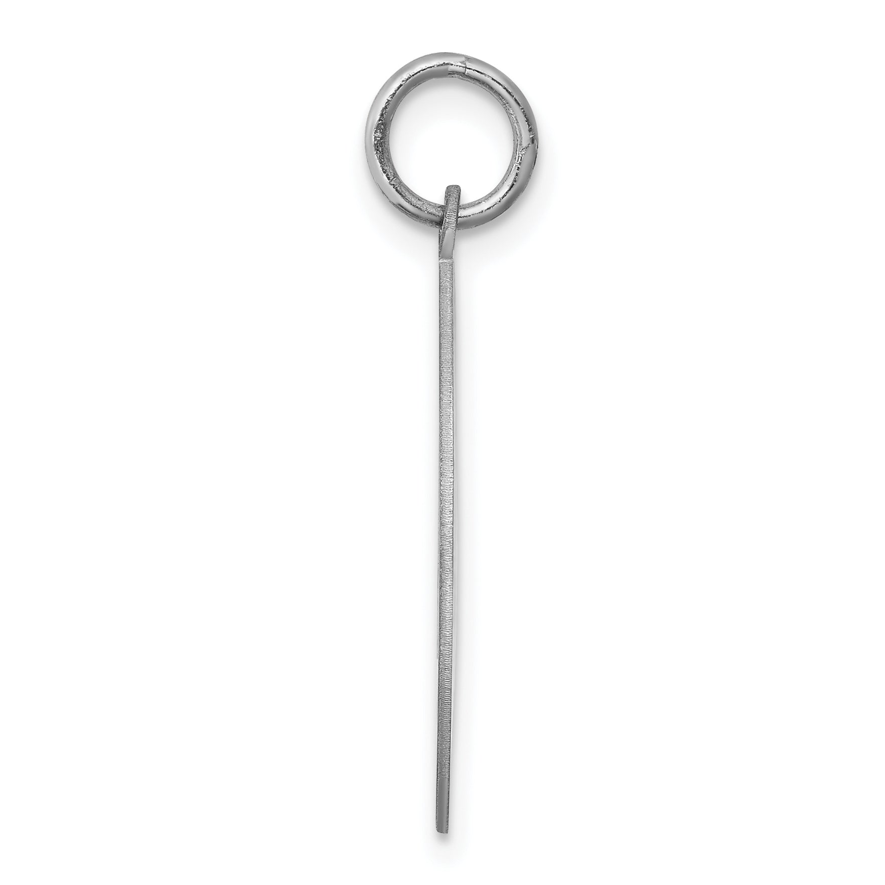 Sterling Silver 925 Rhodium-Plated Engravable Chow Disc Charm Elegant Finish Secondary image