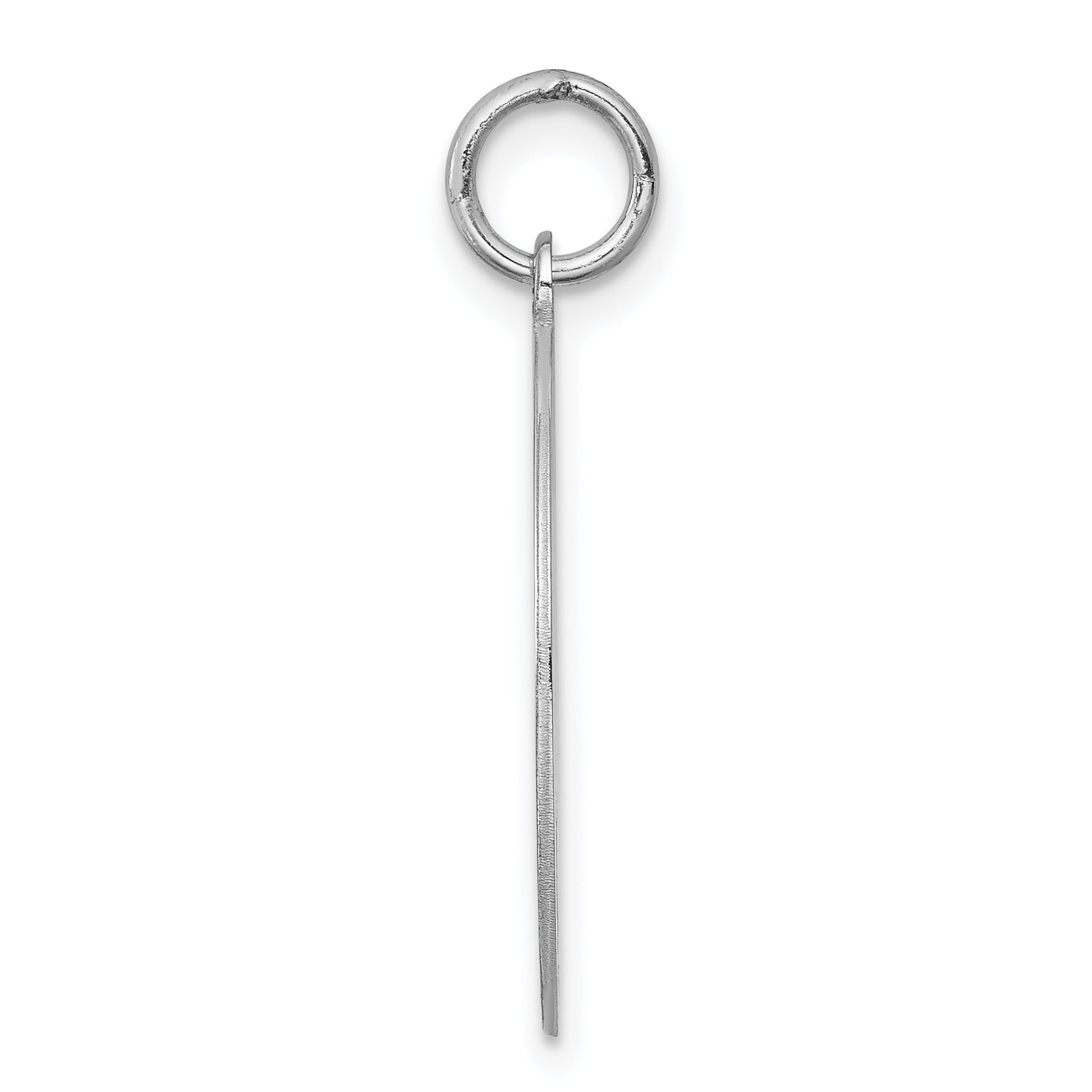 Sterling Silver 925 Doberman Pinscher Disc Charm, Rhodium-Plated, Engravable Sophisticated Design