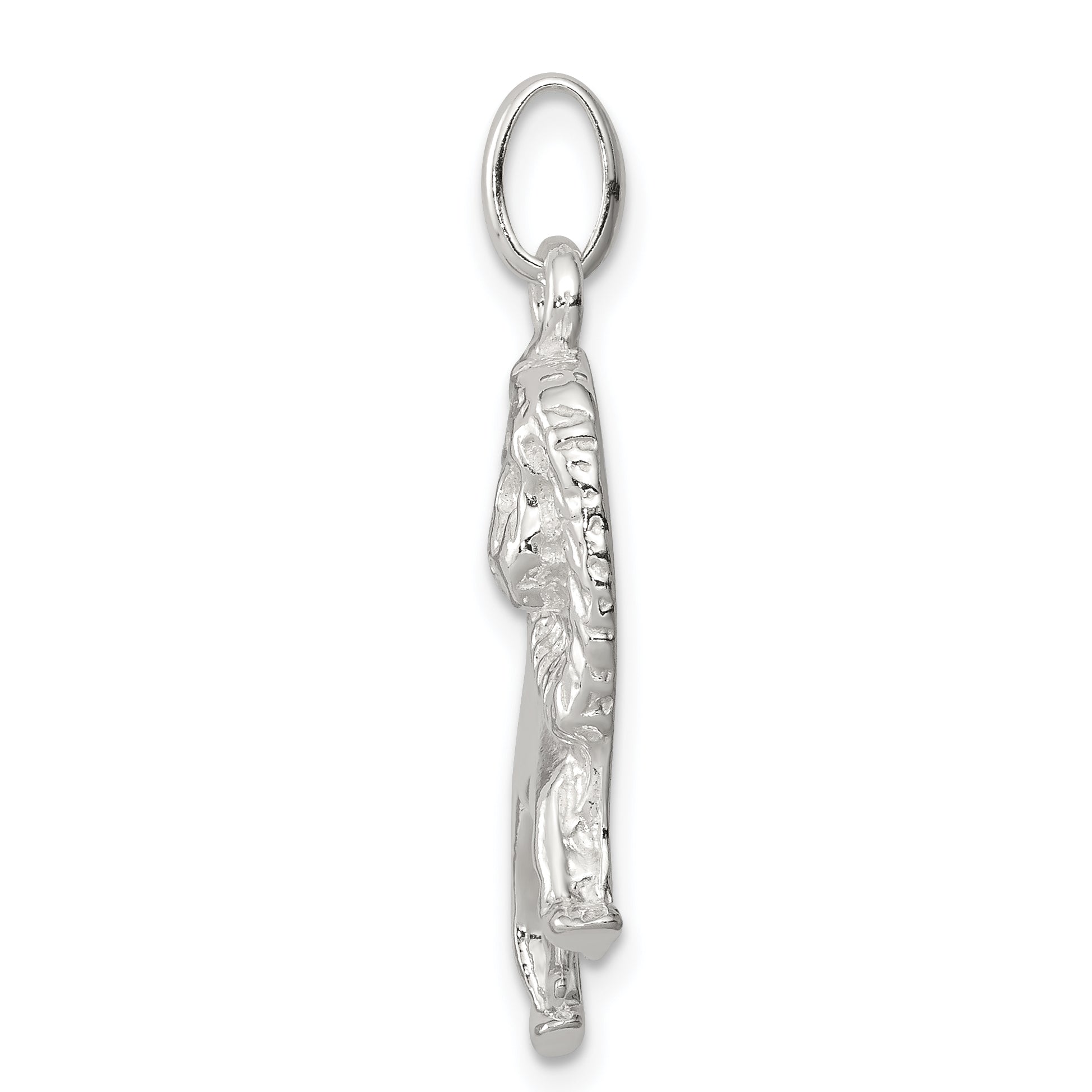 Sterling Silver 925 Lion Charm with Polished Anti-Tarnish Finish Secondary image