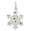 Sterling Silver Diamond Cut Snowflake Charm