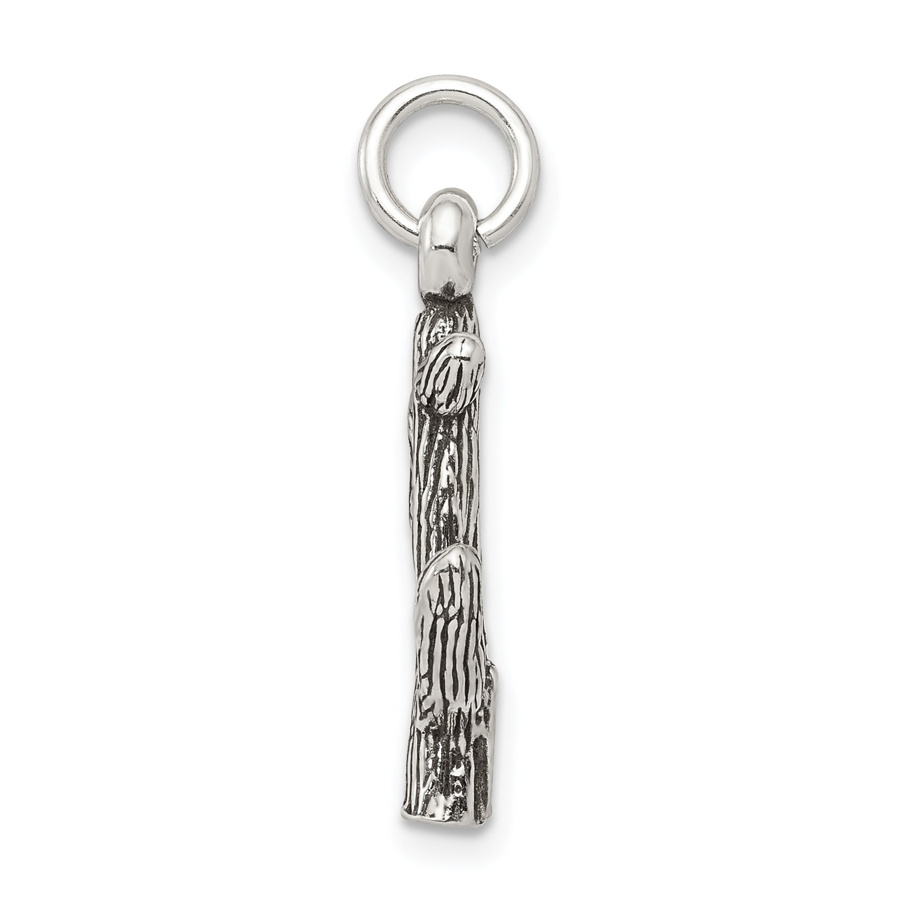 Sterling Silver 3D Cactus Charm for Men with Antiqued Finish Secondary image