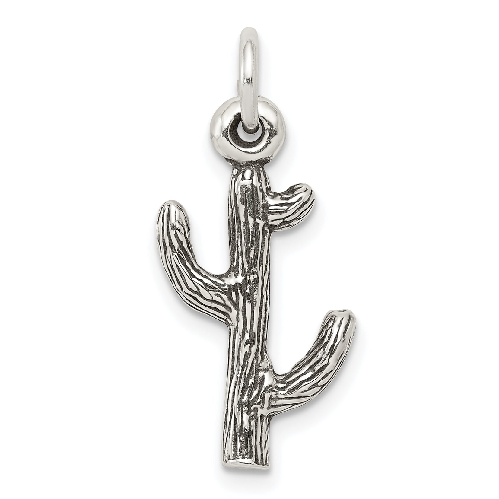 Sterling Silver Antiqued Cactus Charm Main image