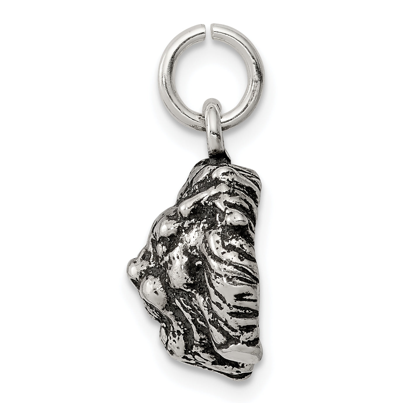 Sophia Jewelers 925 Sterling Silver Antiqued Lion Charm Pendant Secondary image
