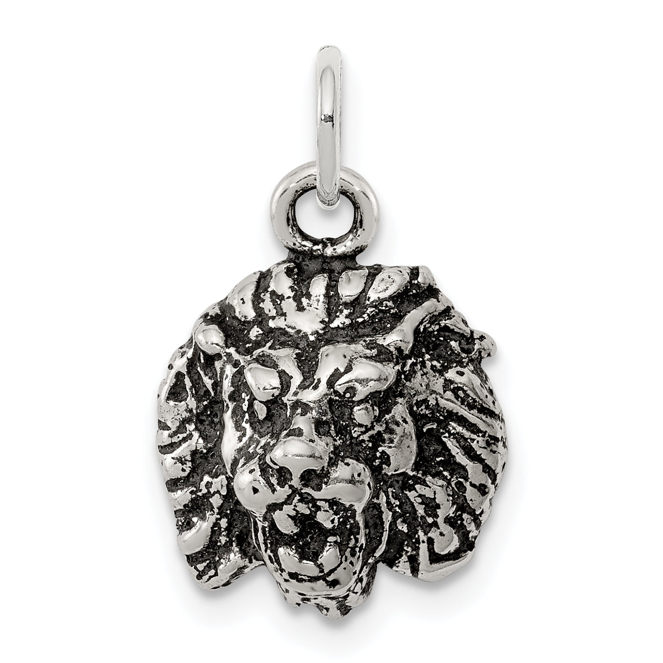 Sterling Silver Antiqued Lion Charm Main image