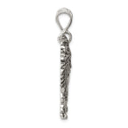 Sterling Silver 925 Men's Lion Charm Antique Finish by Sophia Jewelers