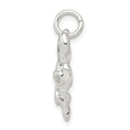 Sterling Silver 925 Men's Skull Charm with Polished Anti-Tarnish Finish