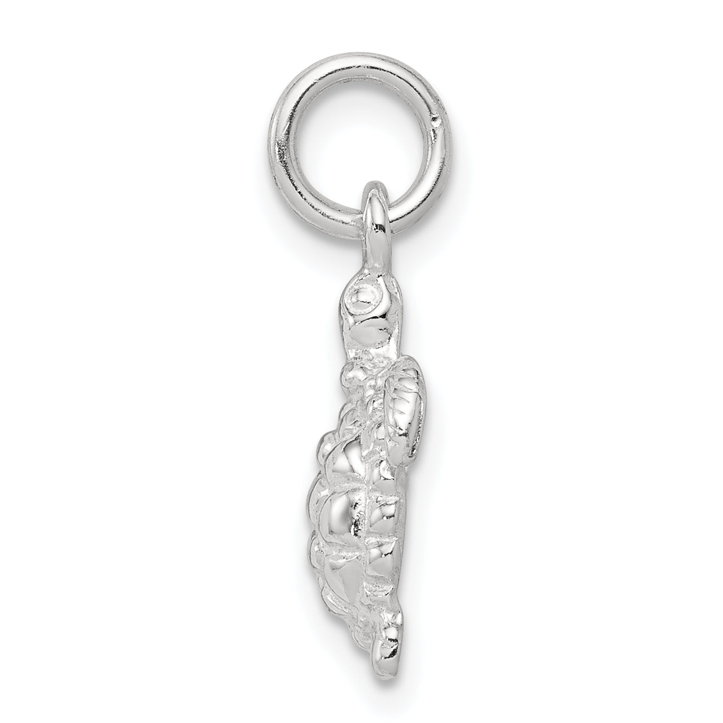 Sterling Silver 925 Polished Turtle Charm with Anti-Tarnish Finish Secondary image