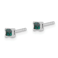 White Night Sterling Silver Rhodium-plated Blue Diamond Post Stud Earrings