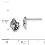 Sterling Silver Sea Shell Post Earrings with Polished Antiqued Finish Elegant Design