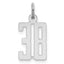 Sterling Silver/Rhodium-plated Elongated Number 38 Charm