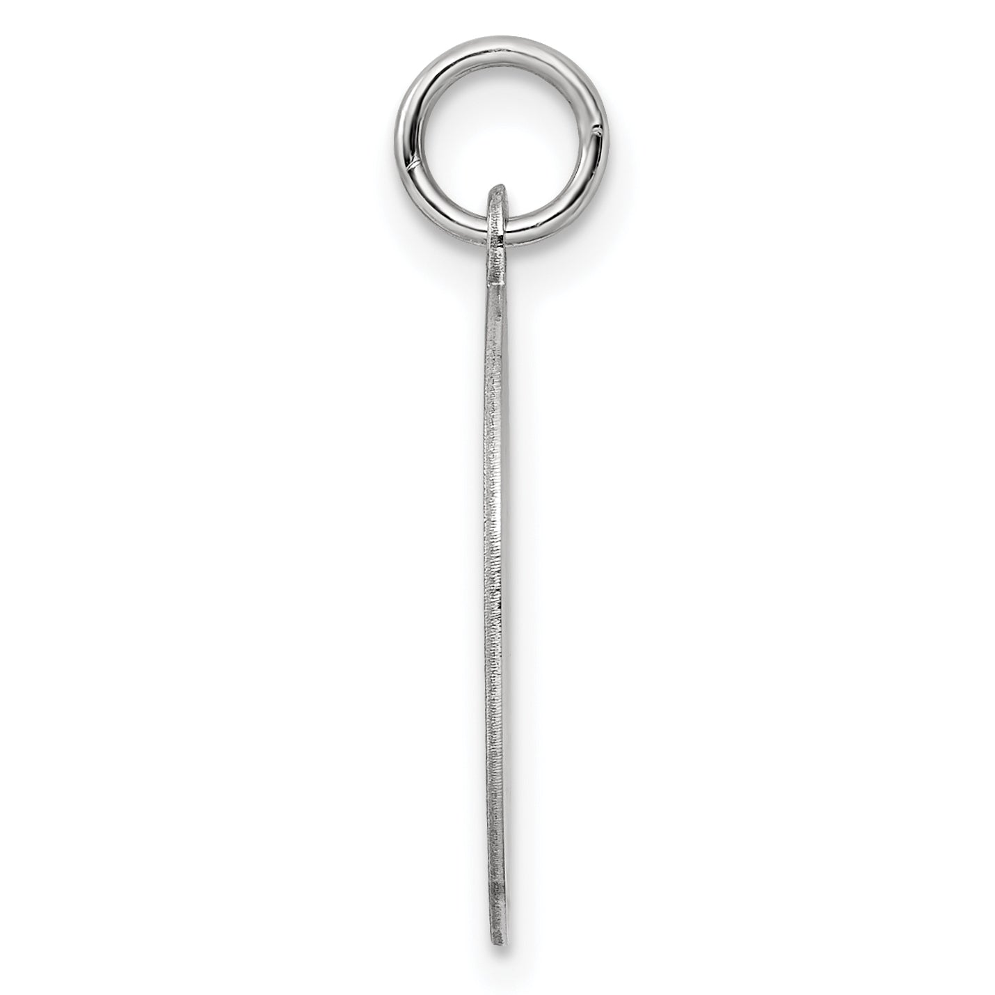 SS Rh-plt Engraveable Round Patterned Polished Front/Satin Back Disc Secondary image