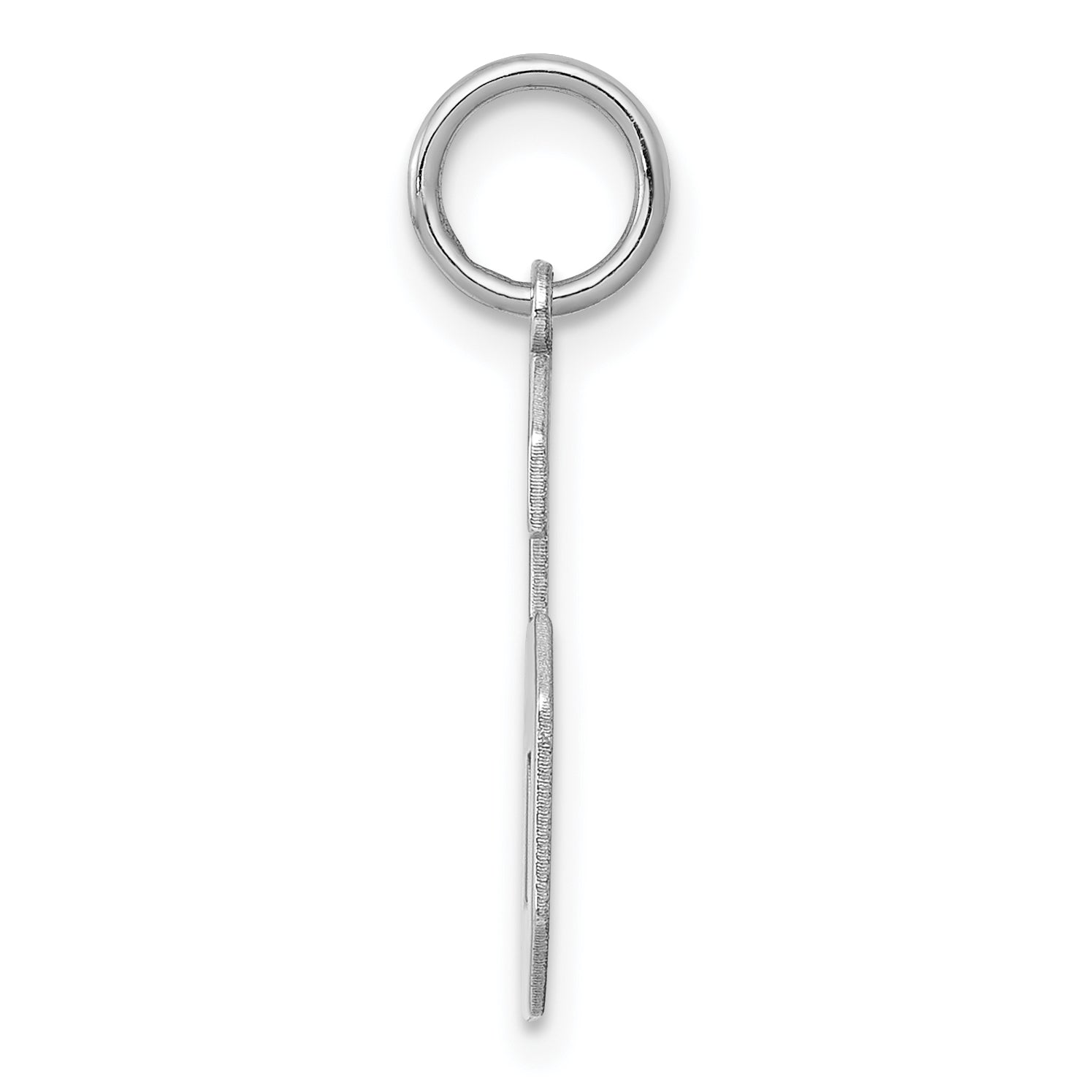Sterling Silver/Rhodium-plated Polished Number 6 Charm Secondary image