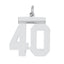Sterling/Silver Rhodium-plated Polished Number 40 Charm