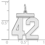 Sterling Silver Rhodium-plated Medium Polished Number 42 Charm
